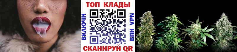 Какие есть наркотики Ясногорск Метамфетамин  ГАШИШ  Кокаин  Альфа ПВП 