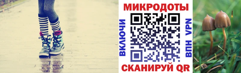 Галлюциногенные грибы Magic Shrooms  где найти   Ясногорск 