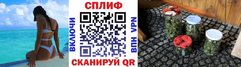 что такое   Ясногорск  Шишки марихуана Bruce Banner 